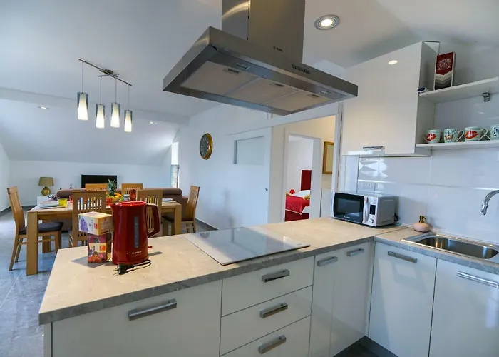 Summer Fever Ζαντάρ