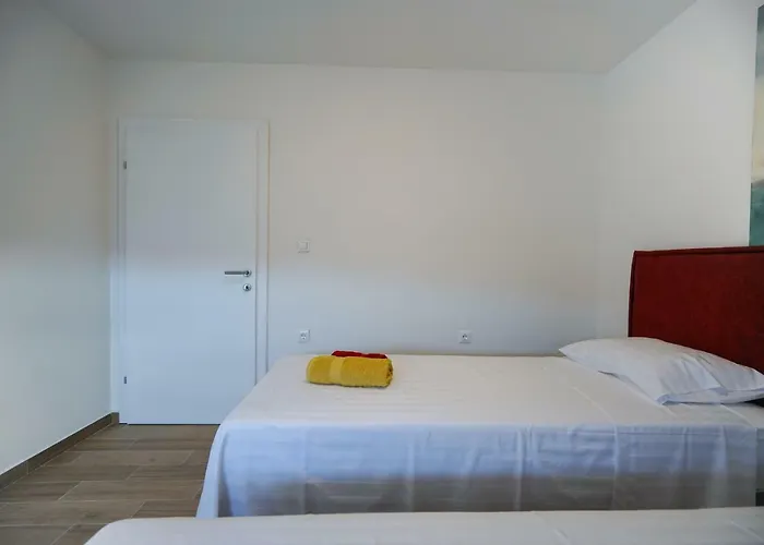 Summer Fever Ζαντάρ